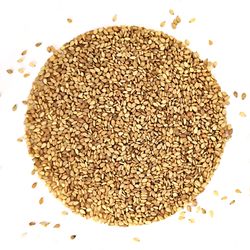 NUTSMAN Sezamové semínko neloupané Množství: 1000 g