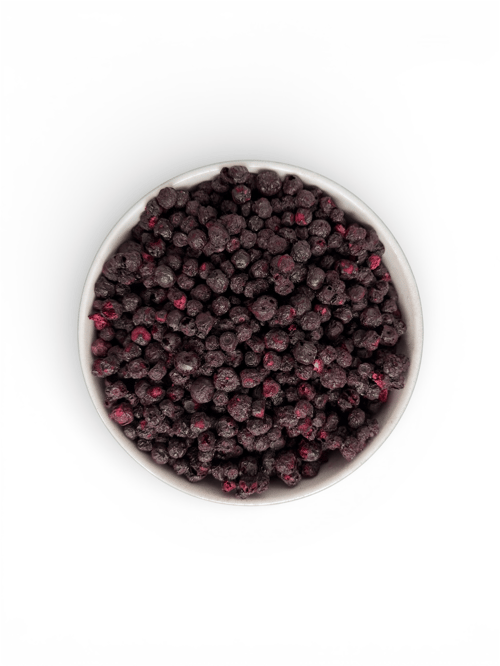 Lyofilizovaná borůvka lesní