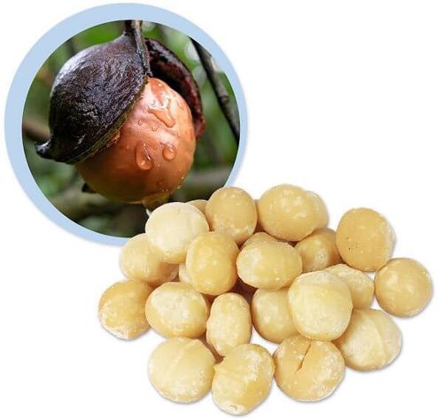 Lifefood Makadamové ořechy raw BIO 500g